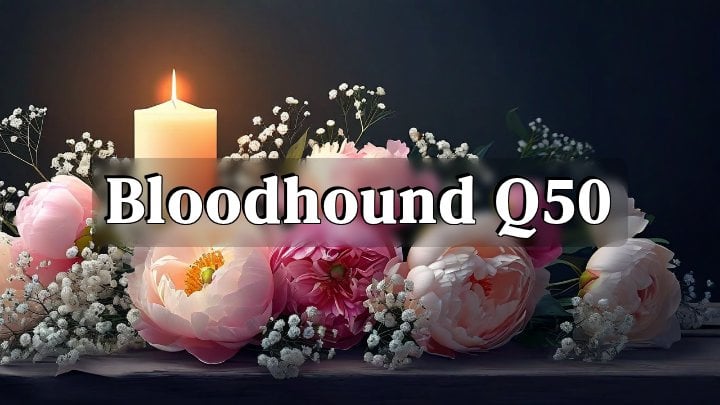 Bloodhound Q50, St. Louis, Missouri